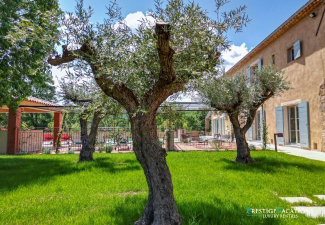 Villa in Saint Remy de Provence - Bergerie Aquino