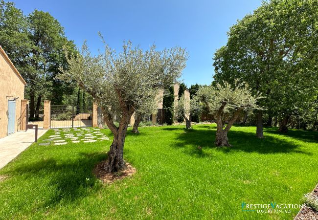 Villa in Saint Remy de Provence - Bergerie Aquino