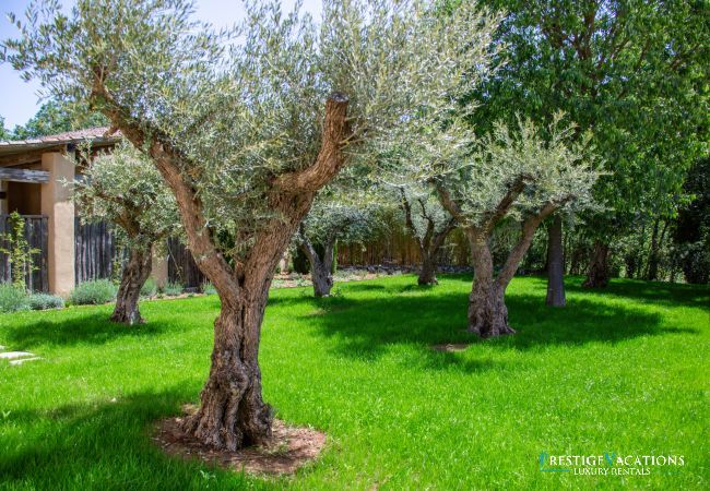 Villa in Saint Remy de Provence - Bergerie Aquino