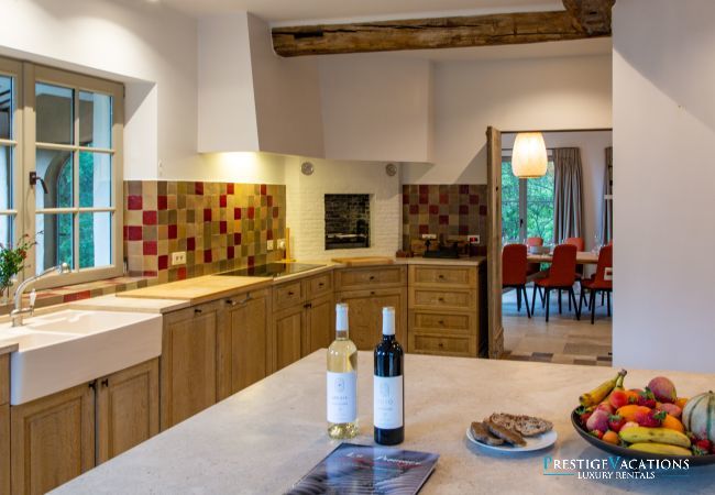 Villa in Saint Remy de Provence - Bergerie Aquino