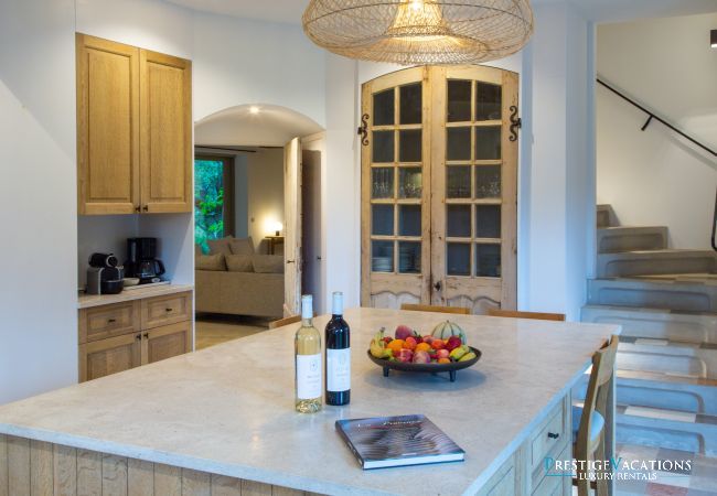 Villa in Saint Remy de Provence - Bergerie Aquino