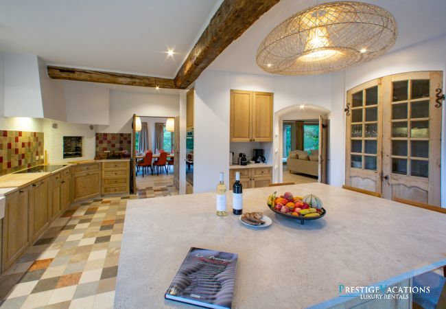 Villa in Saint Remy de Provence - Bergerie Aquino