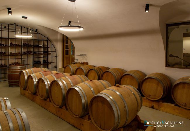 Villa in Saint Remy de Provence - Bergerie Aquino