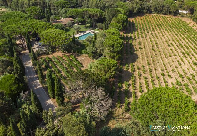 Villa in Ramatuelle - Bossa Nova