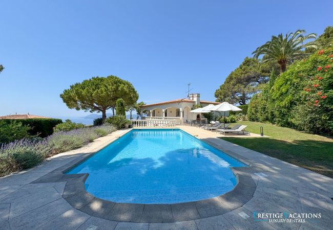 Villa in Vallauris - St Martin