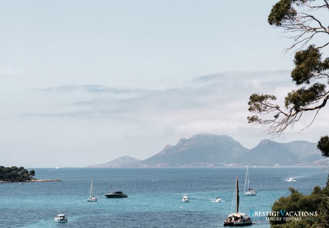 Villa in Cannes - Le Grand Jardin